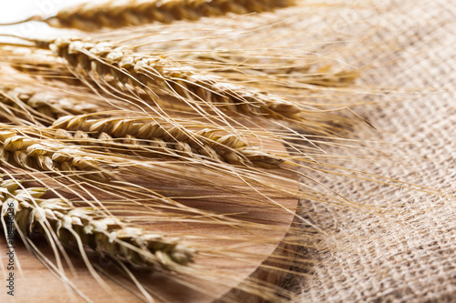 Ears of wheat on a sackcloth