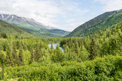 National Forest in Alaska