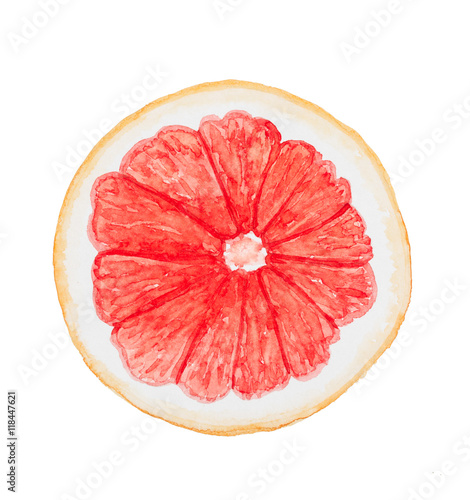 Slice of grapefruit isolated on white background. Watercolor ill
