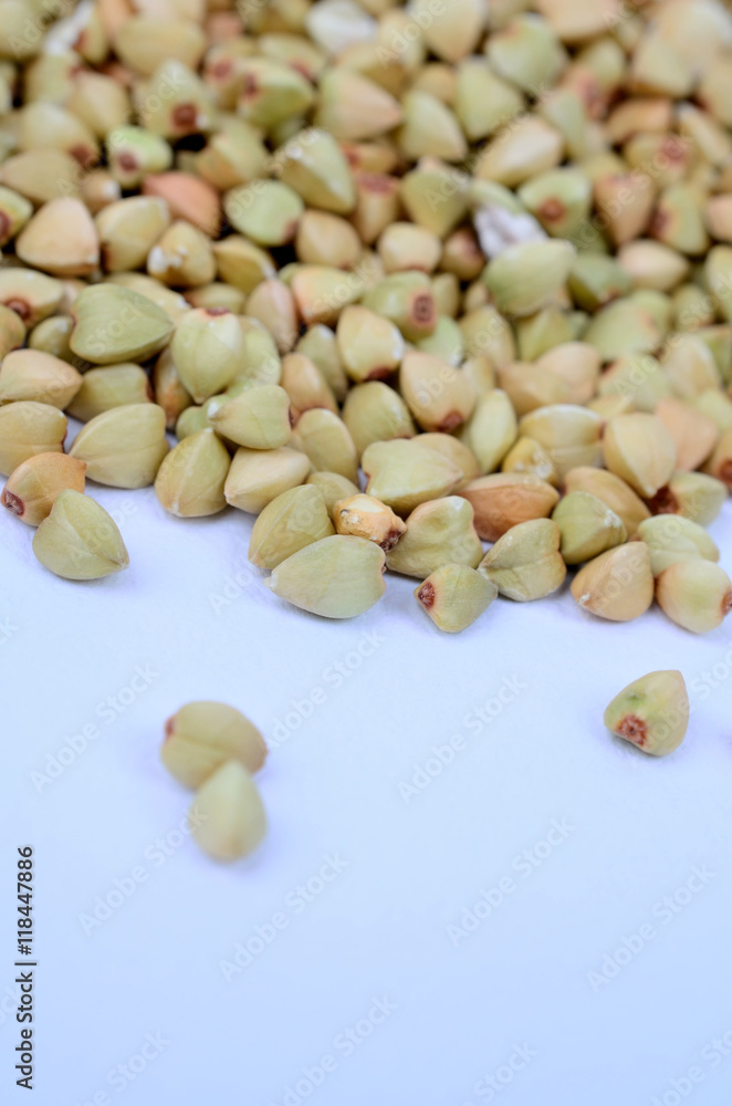 Green buckwheat on blue background Green buckwheat on blue background