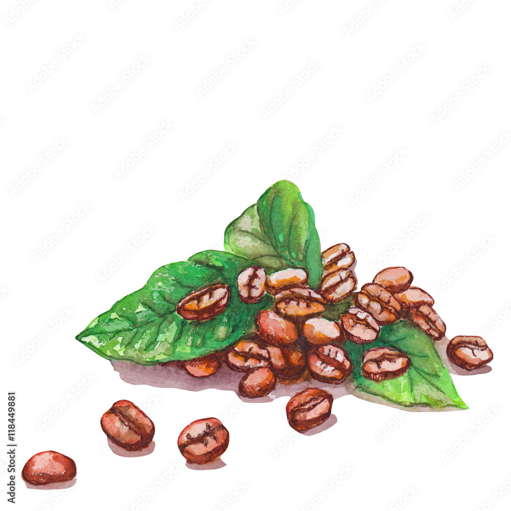 Obraz premium Coffee grains and green leaves on White Background, Watercolor Art