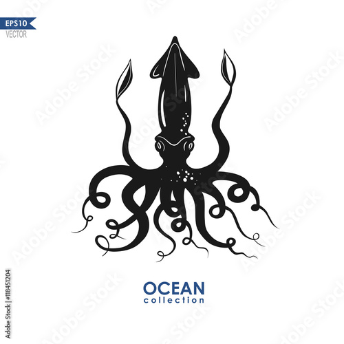 calamari black and white illustration