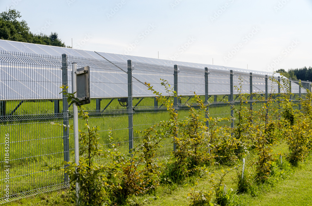 Fototapeta premium Photovoltaik hinter Zaun