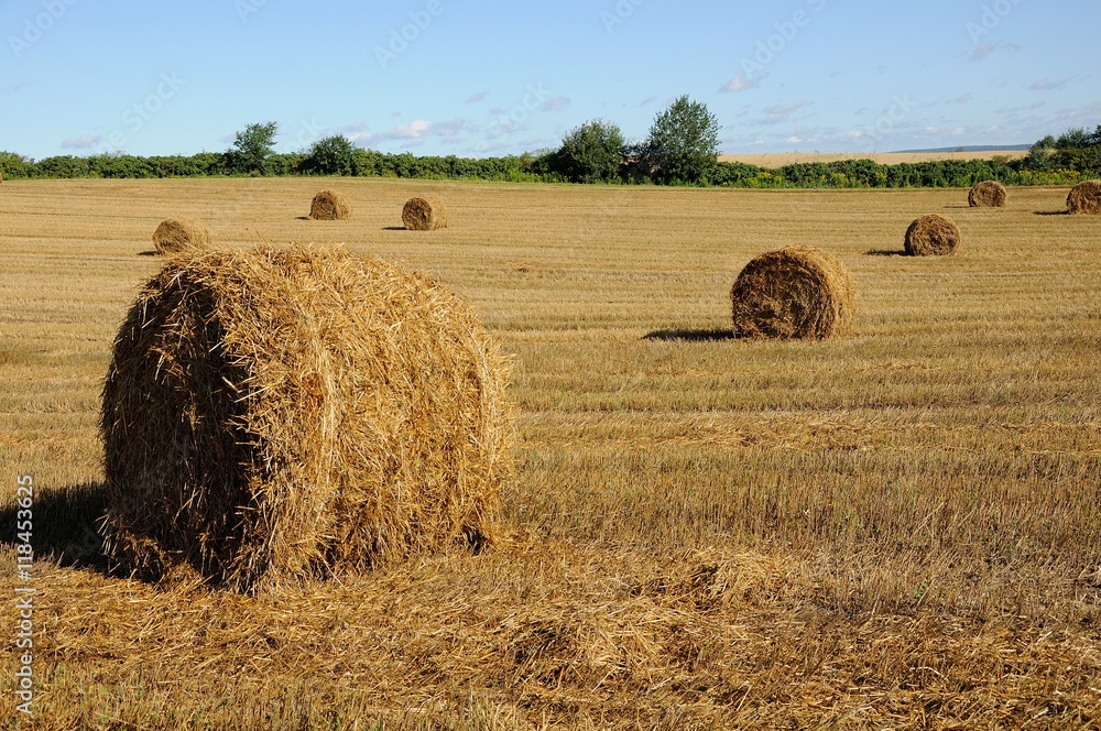 straw bales on the field