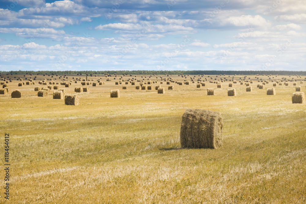 Beautiful landscape with straw bales in end of summer.