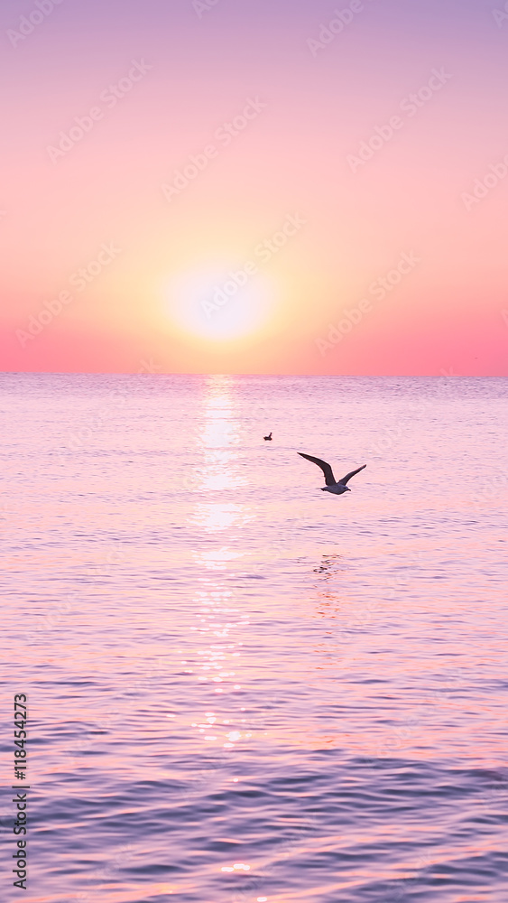 Flying Seagull at sunrise on sea on the background of a peaceful sea and rising sun.