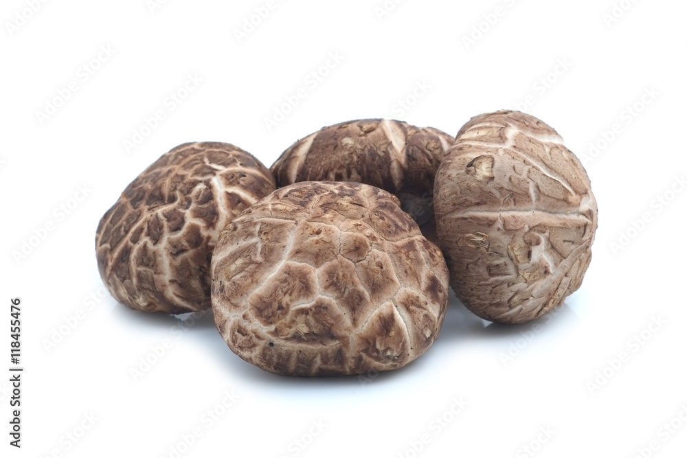 Shiitake mushroom on the White background Shiitake mushroom on the White background