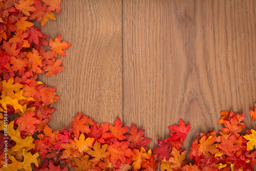 Obraz premium Bunte Herbstblätter