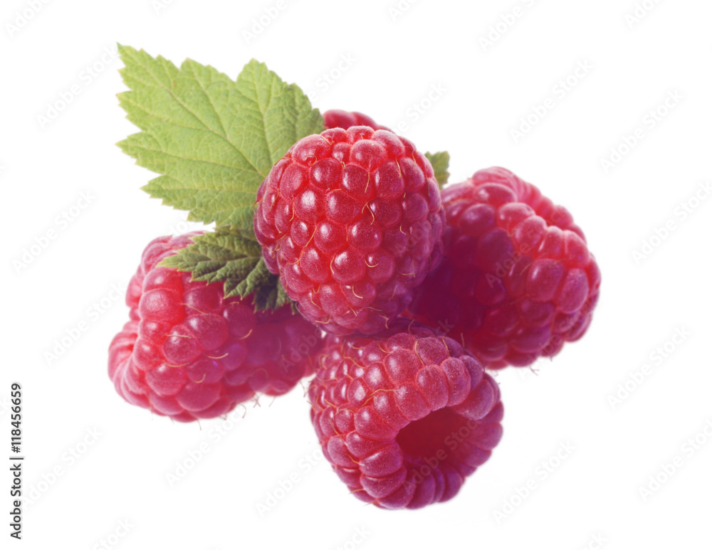 Himbeeren mit Himbeerblatt auf weißem Hintergrund Himbeeren mit Himbeerblatt auf weißem Hintergrund