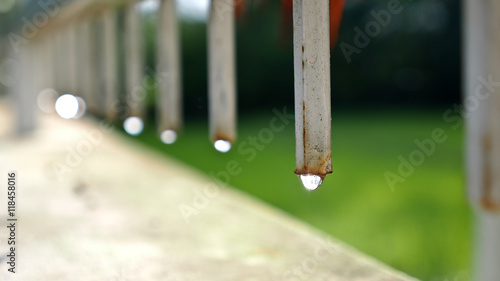 Water Drops
