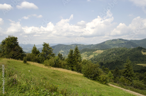 Mountain landscape of Ukrainian Carpathians   © vomirak