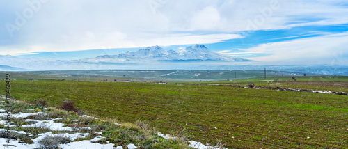 The winter field photo