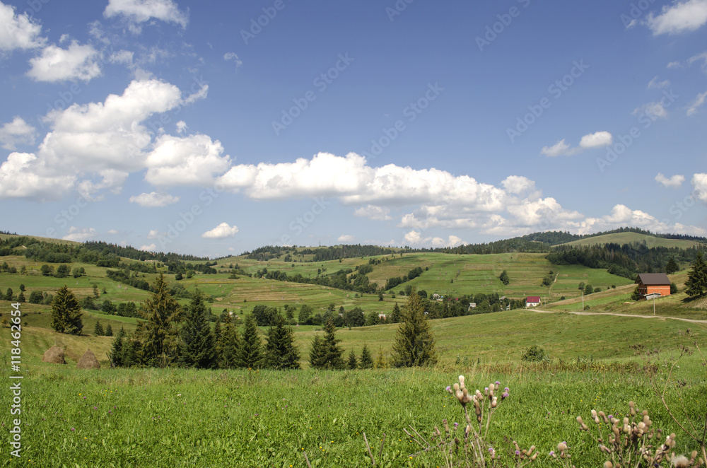 Fototapeta premium picturesque green meadows of Ukrainian Carpathians 
