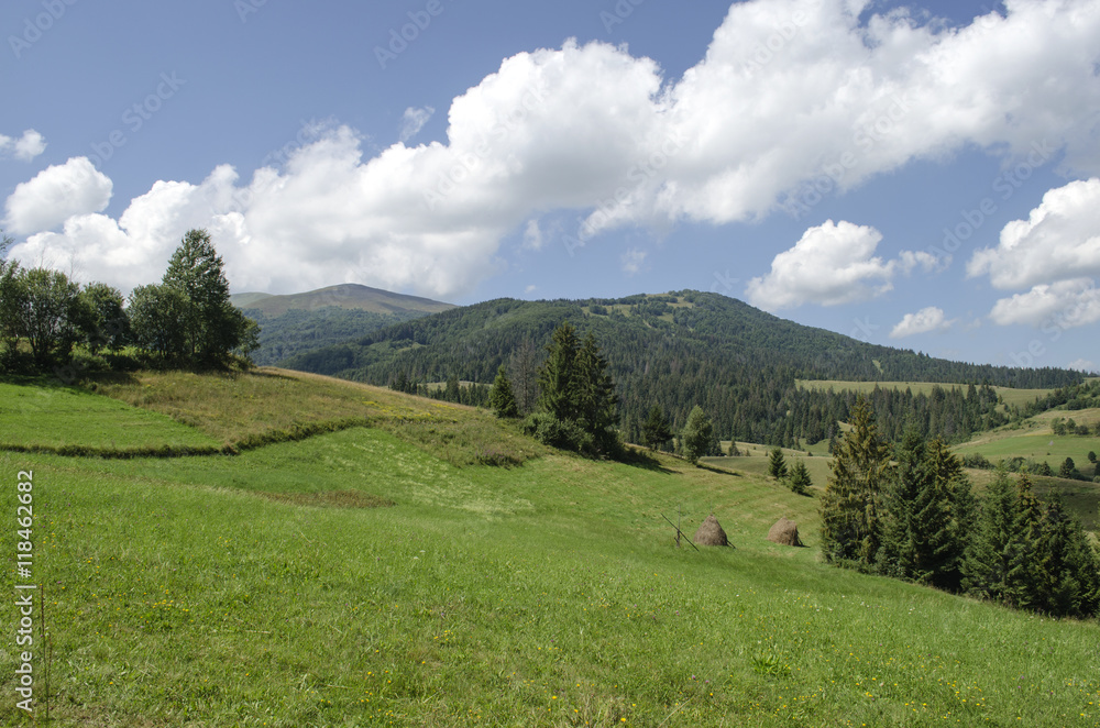 picturesque green meadows of Ukrainian Carpathians
