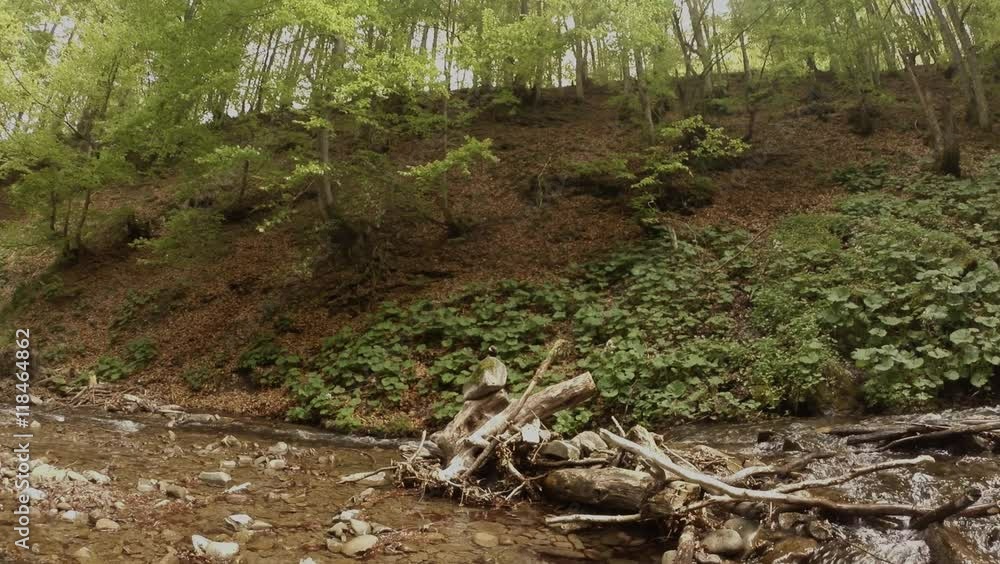 Mountain Creek Flowing at the Foot of the Hill on Which Growing Lot of Trees Mountain Creek Flowing at the Foot of the Hill on Which Growing Lot of Trees