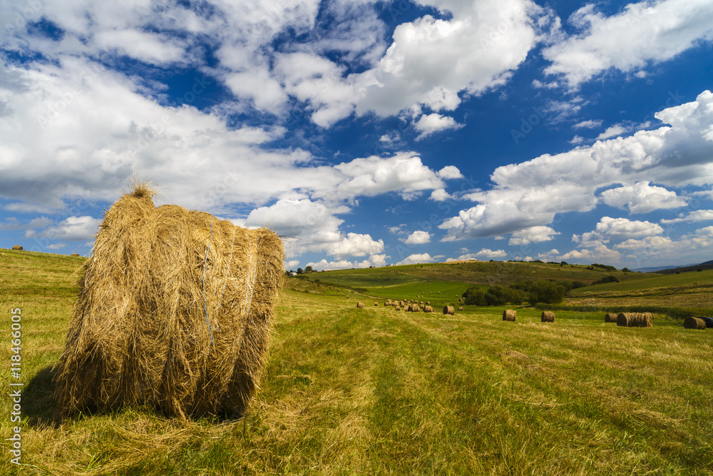 a harvest landscape vista in rolling hills in Romania with round a harvest landscape vista in rolling hills in Romania with round