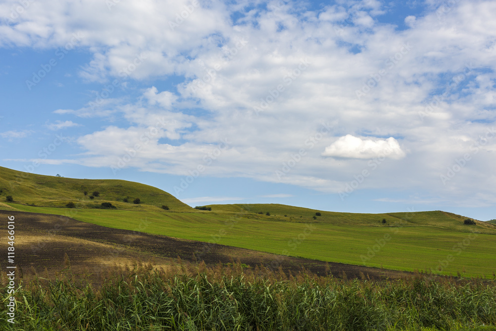 beautiful landscape with grass on a hill