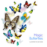 Butterfly Background Illustration