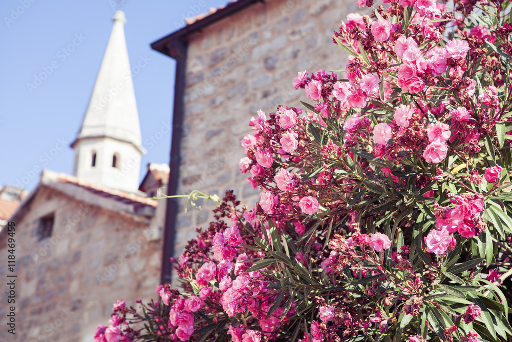 Fototapeta premium Old town in Europe at sunny day