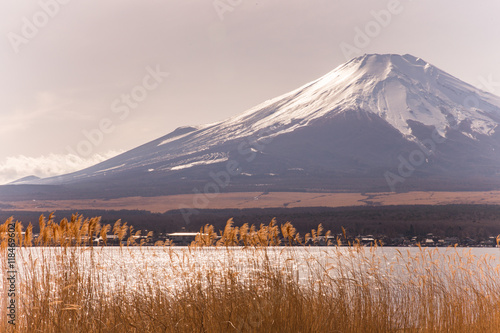 山中湖から見た富士山 山頂付近