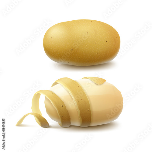 Vector Set of New Yellow Raw Whole Unpeeled Potato and Peeled Potato with twisted peel Close up Isolated on White Background