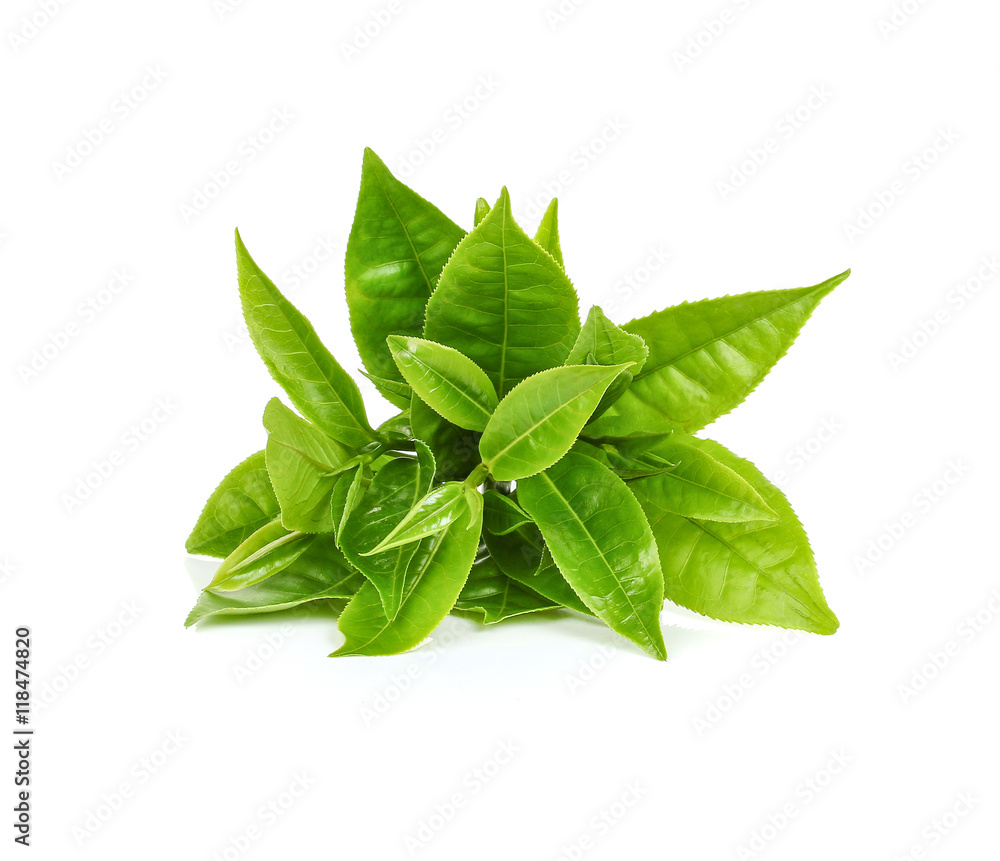 green tea leaf isolated on white