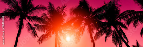 Golden sky with palm trees tropical sunset