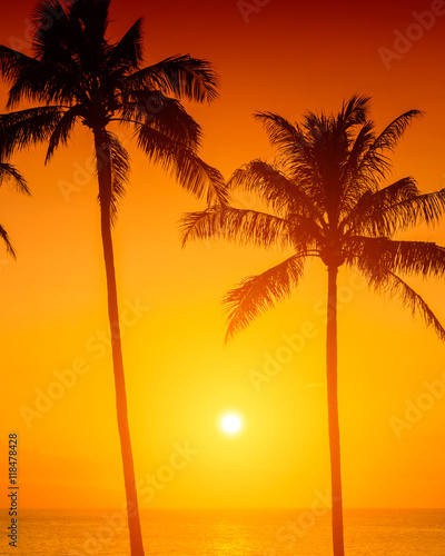 Tropical island sunset with silhouette of palm trees  hot summer day vacation background  golden sky with sun setting over horizon