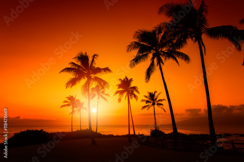 Golden sky with palm trees tropical sunset © Mariusz Blach