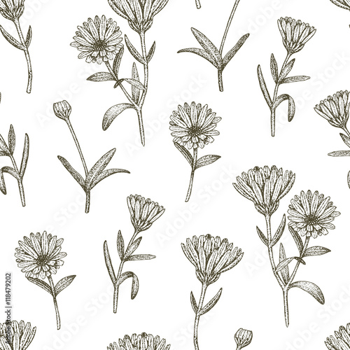 Calendula pattern.