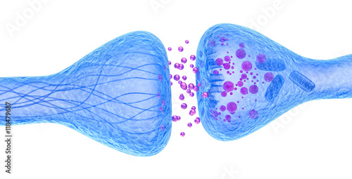 Tableau sur toile Active receptor macro view isolated on white, Medical accurate 3D illustration