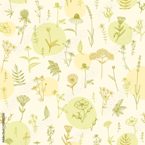 Plants pattern.