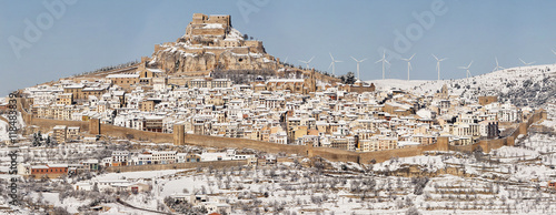 Morella nevada