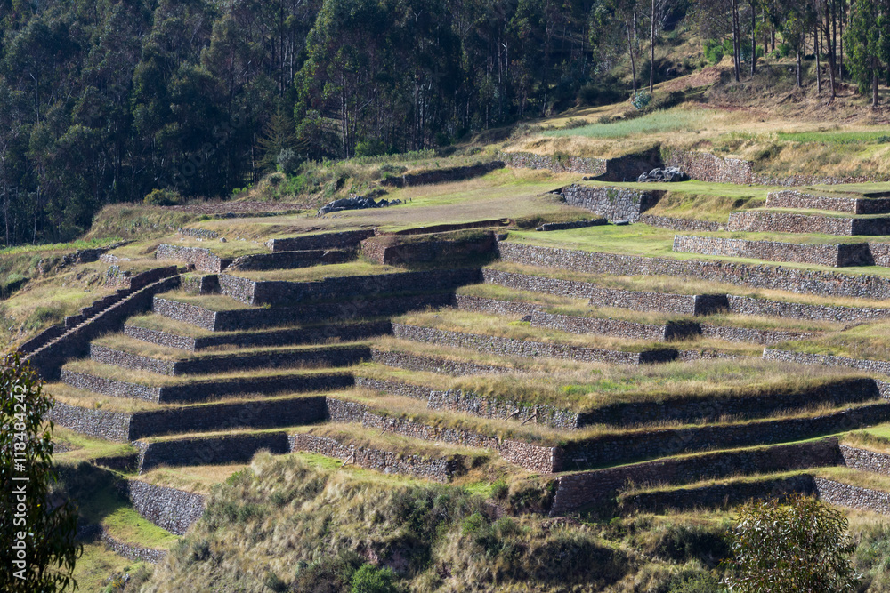 Inca farming terraces
