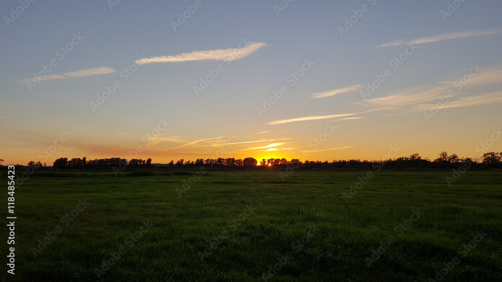 Fototapeta premium Sonnenuntergang auf der Weide