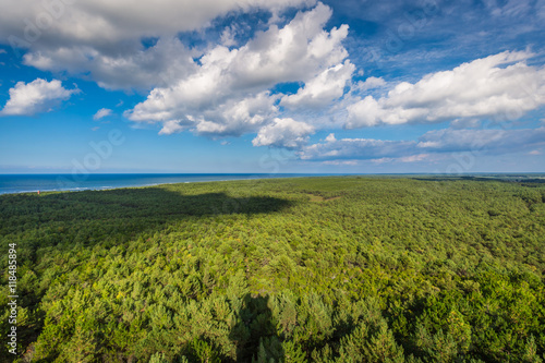 Obraz na płótnie Top view of coniferous forest on the Baltic Sea coast, Poland w salonie