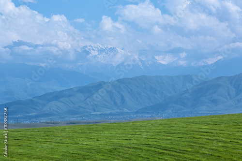 green field and mountain views