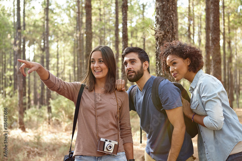 Friends looking at something in a forest