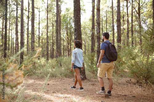 Friends walking in a pine forest