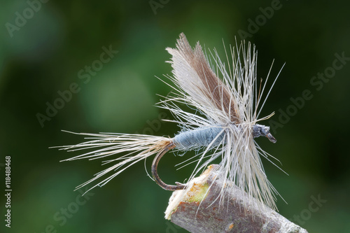 Gray and white dry fly fishing lure, green leafs in the backgrou