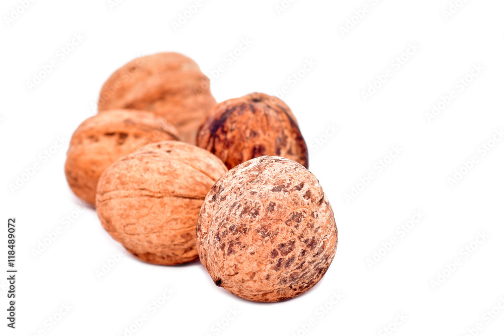 Nuts arranged on white background
