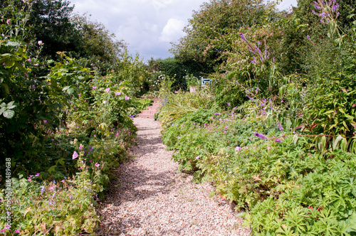 Formal garden flower bed photo