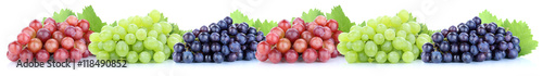 Trauben Weintrauben frische Früchte Obst in einer Reihe Freiste photo