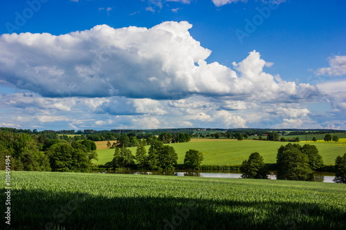 Summer countryside with green pasture and blue sky with clouds - Czech Republic  Europe