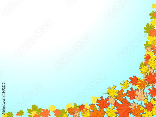 Autumn blue background with colorful maple leaves in the lower right corner
