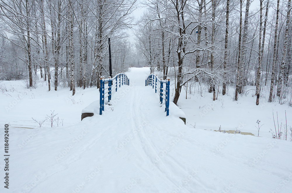 Winter January morning Winter January morning