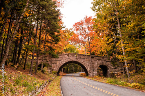 Beautiful fall colors of Acadia National Park in Maine