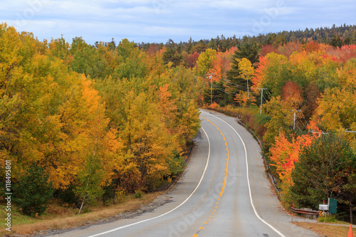 Beautiful fall colors of Acadia National Park