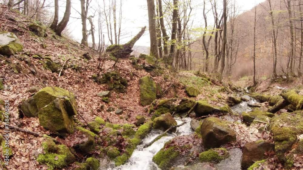 Mountain Stream Flow Between Moss-Grown Rocks in the Woods View From Right to Left
