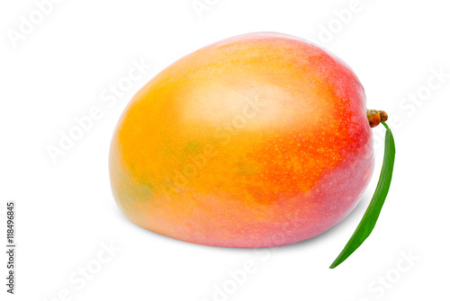 Mango isolated on white